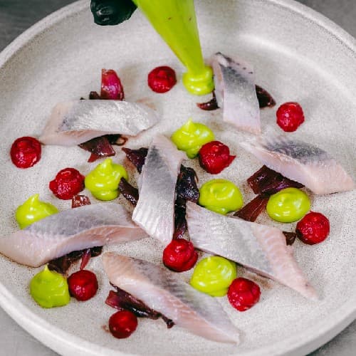 Herring